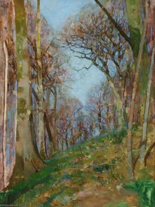 Woodland Sketch — Benjamin Haughton