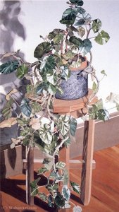 Untitled (492) — Sondra Freckelton