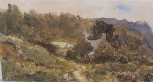A Cottage Amongst Trees