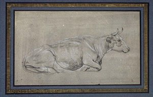 Study, A Downer Cow In Profile To The Right — Aelbert Jacobsz Cuyp