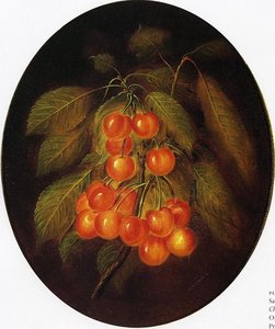 Cherries — Sarah Miriam Peale