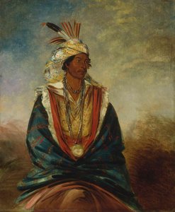 Tel Maz Há Za, A Warrior Of Distinction — George Catlin