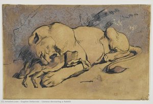 Lioness Devouring A Rabbit — Eugène Delacroix