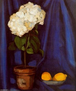 Nature morte au citrons