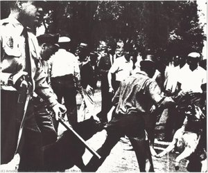 Birmingham Race Riot — Andy Warhol, Pop Art