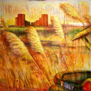 The Meadows — Michael Bell
