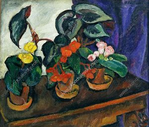 Still Life. Begonias. — Pyotr Konchalovsky