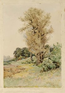 Seaton — Francis James Barraud