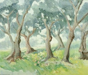 Olive Trees