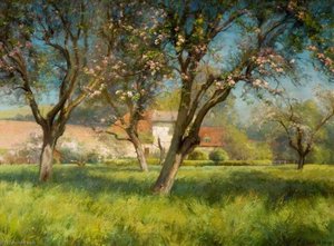 View of a Meadow with Trees in Blossom
