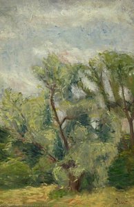 Willows