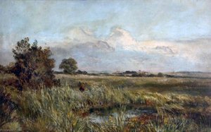 Fisherman and Spinney
