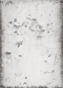 Untitled — Paula Klien