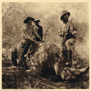 Chasse au rhinocéros