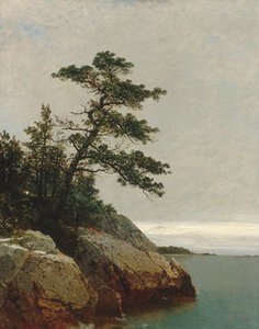 The Old Pine Darien Connecticut — John Frederick Kensett