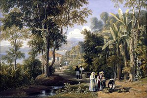 Garden Scene On The Broganza Shore, Rio De Janeiro