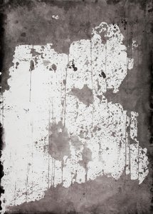 Tao — Paula Klien