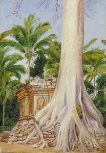 Pawan Durfur — Marianne North