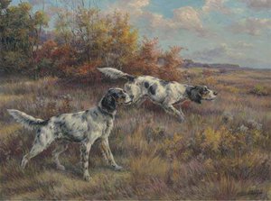 Two Setters On A Point In An Extended Landscape — Edmund Henry Osthaus