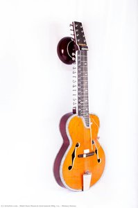 Mohan Veena