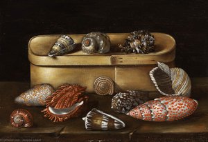 Stilleben Mit Spanschachtel Und Meeresschnecken — Jacques Linard