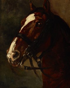 Bay Horse's Head — Piotr Michałowski