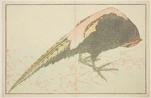 Männlicher Pfau — Katsushika Hokusai