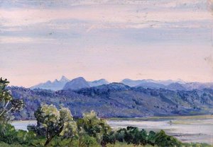 Warkwallah, Ceylon (sri Lanka) — Marianne North