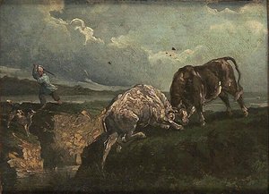 Combat De Taureaux