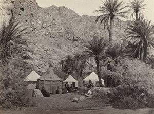 Encampment In The Wilderness Of Paran ( 529) — Francis Frith