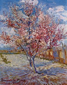 Árbol De Melocotones En Flor (en Memoria De Mauve) — Vincent Willem Van Gogh