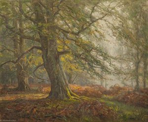 New Forest — Frederick Golden Short