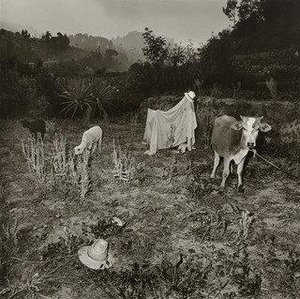 Untitled, Guatemala