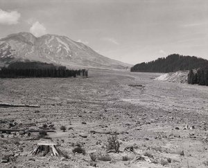 Looking NW across Lahar at Mount St. Helens, 6 miles SE of Mount St. Helens, Washington, 1984