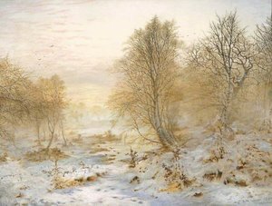 Silvery Moments, Burnham Beeches — Andrew Maccallum