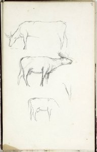 Study, Animal Figure — Thomas Cole