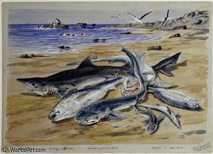 Several Sharks On The Beach At Angra Peguena — Thomas Baines