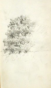 Tree 5 — John Ottis Adams