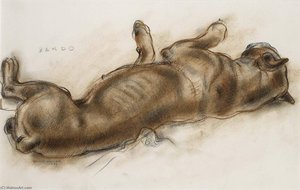 Bardo — Bruce Moore