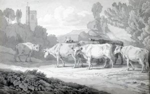 Cattle On The Village Road — John White Abbott