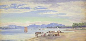 'beypore, India' — Marianne North