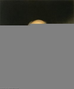 Self Portrait