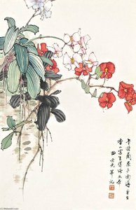 Cattleya