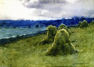 Rainy Day Pasture