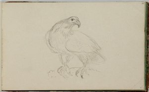 Study, Bird — Thomas Cole, Hudson River School