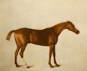 'eclipse' — George Stubbs