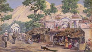 'temple Near Jeypore. India. Decr. 1878' — Marianne North, Victorian Botanical Painting