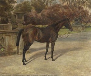'Clare', a Bay Hunter, in the Garden at Mount Stewart