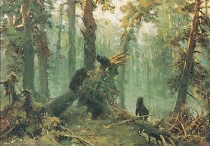 Morning In Piny Wood (study) — Ivan Ivanovich Shishkin, Russian Landscape Painting