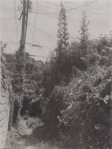 Rustic Road Pacific Palisades (LA25)